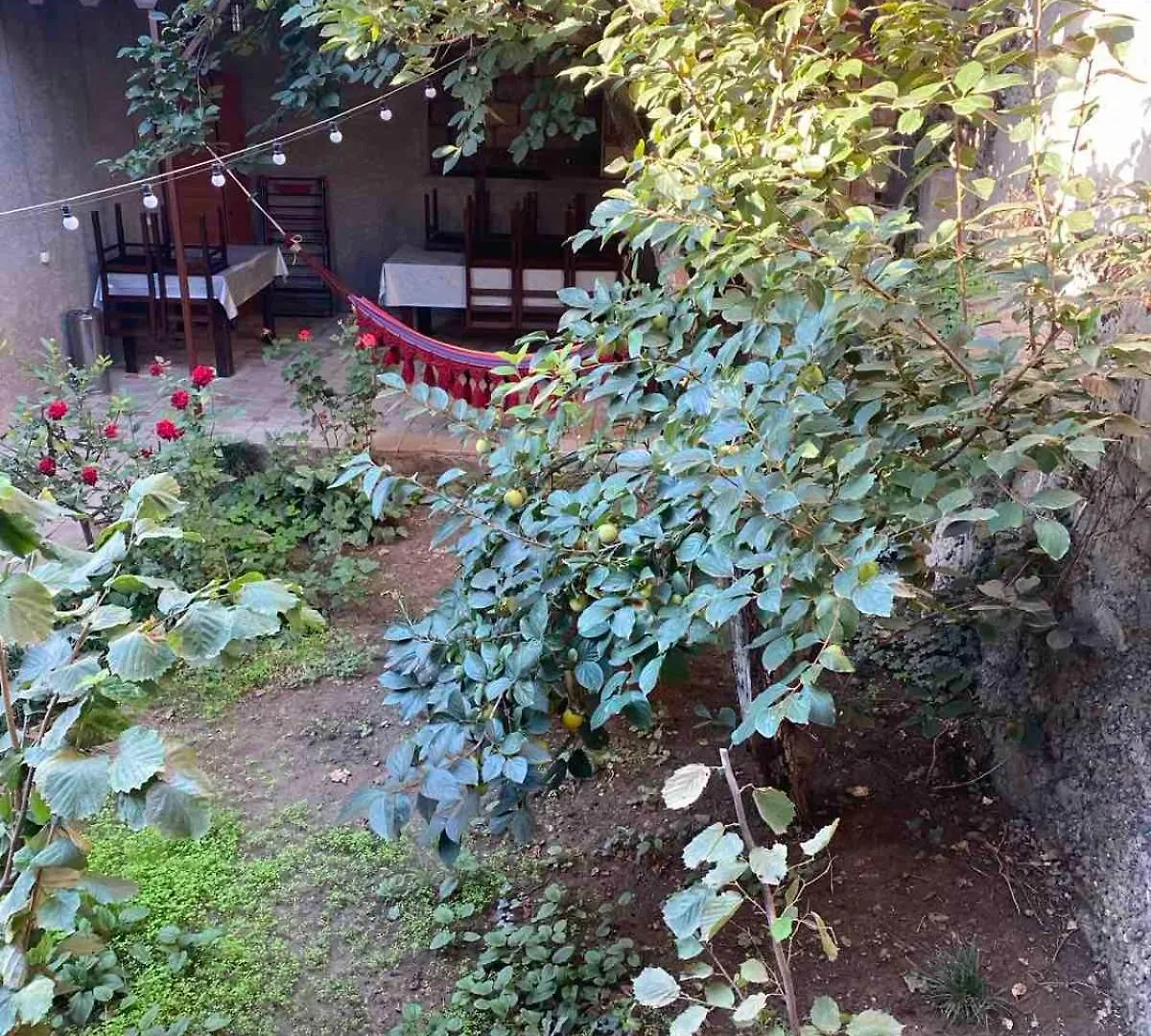 Family Apartments 